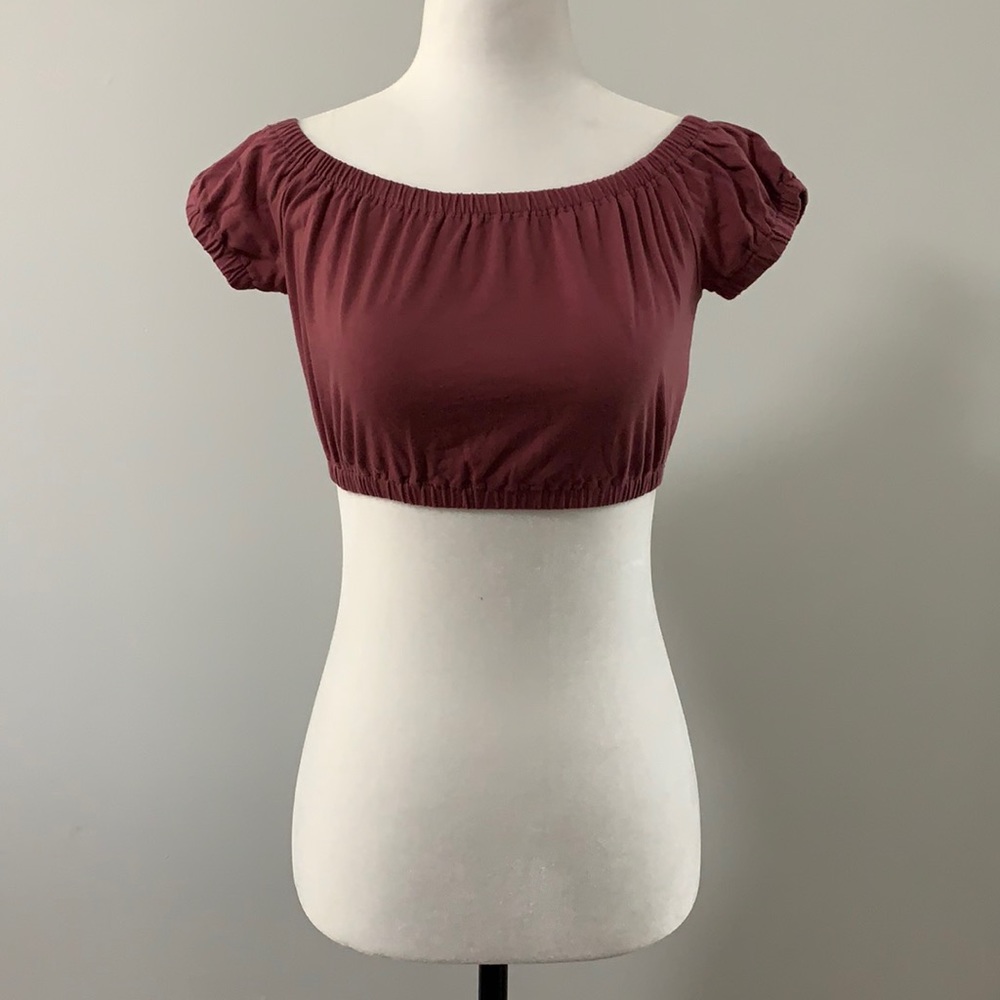 Aritzia Wilfred Adelisa Crop Top